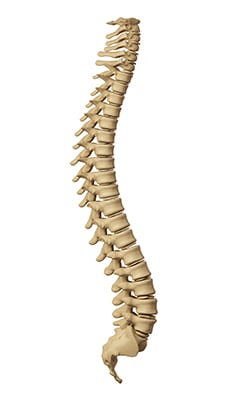 Benefits of Chiropractic Care Everett, WA