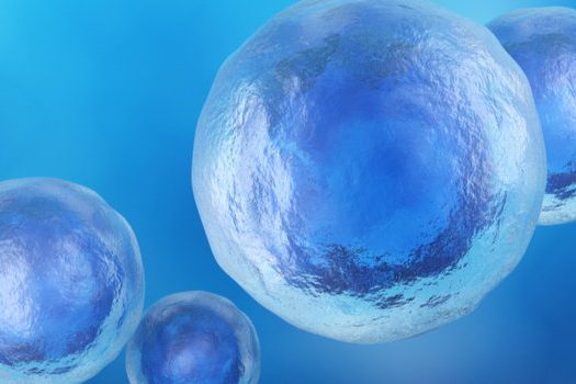 Regenerative Cellular Tissue aka Stem Cells Mount Vernon, WA