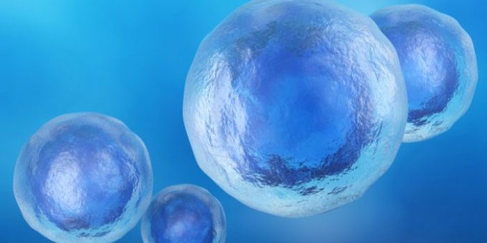 regenerative-cellular-tissue-aka-stem-cells-mount-vernon-wa Regenerative Cellular Tissue aka Stem Cells Mount Vernon, WA